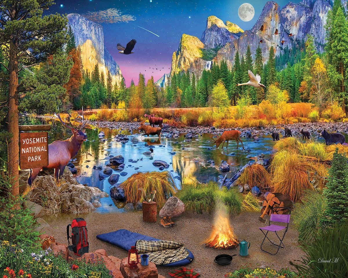 Set of 4: Artist David Maclean - National Parks Bundle 1000 piece - Image 5